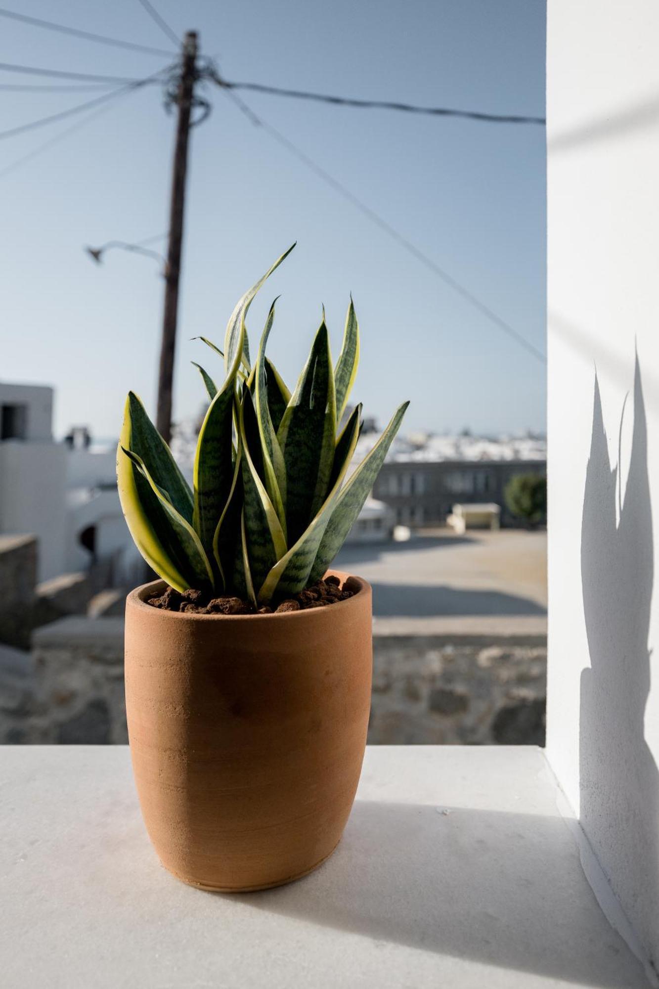 37 2 Heaven Apartman Naxos City Kültér fotó
